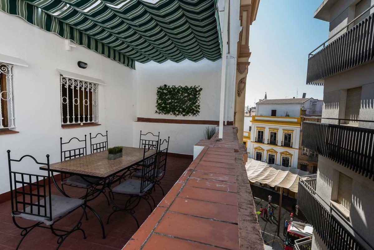 Atico Campana Donkey Terraza Privada Apartment
